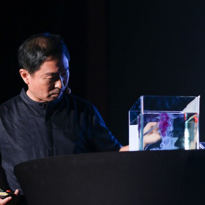 从我的数字水墨画中汲取的灵感